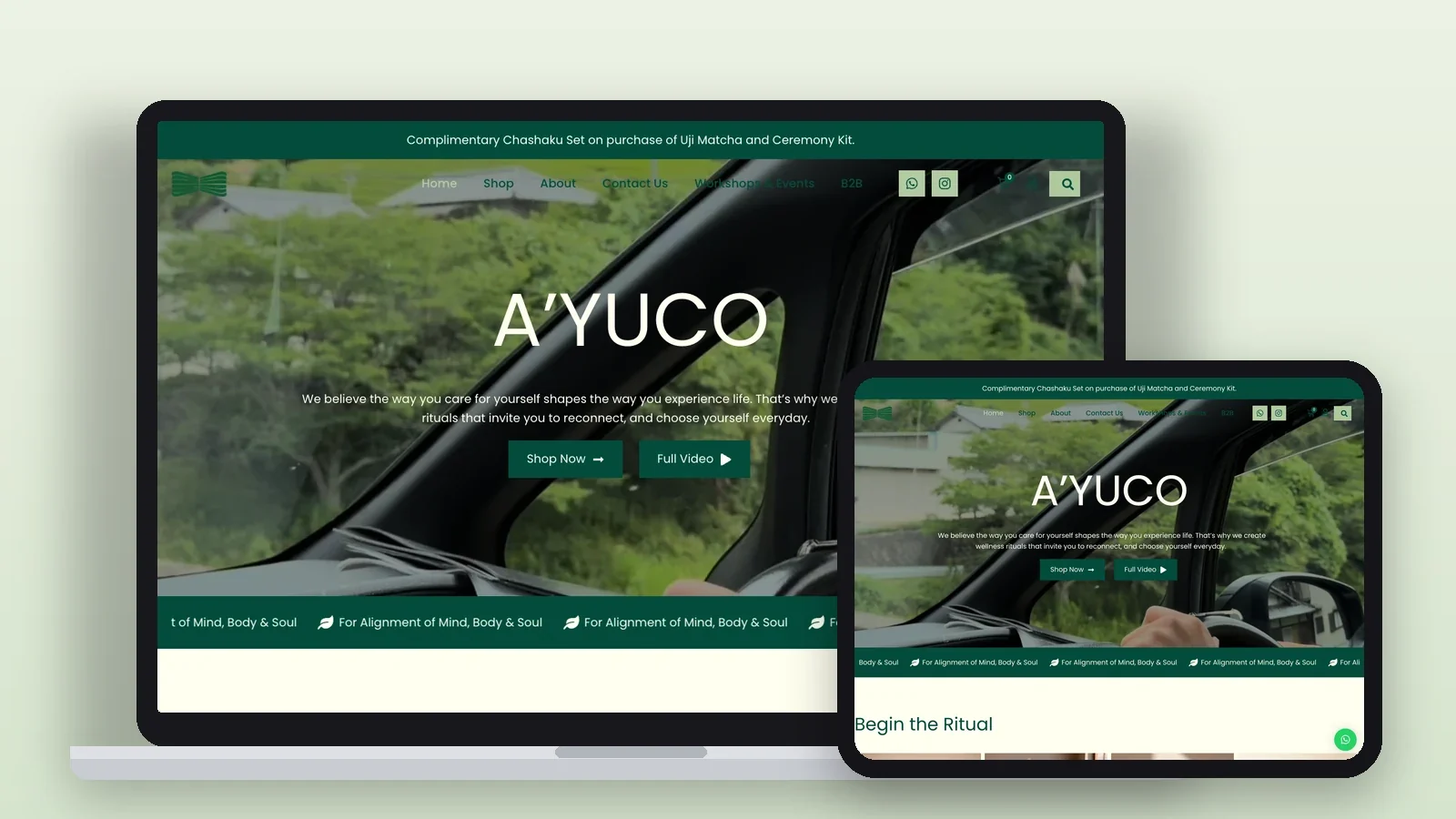 More of the A’YUCO project